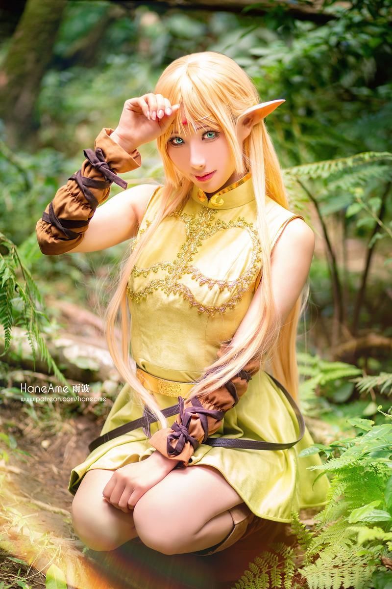 雨波_HaneAme No.035-Record of lodoss Deedlit [6P]-道友图库