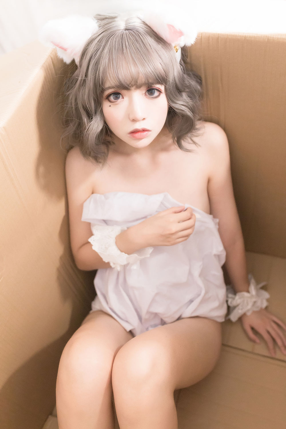 疯猫ss No.029-白猫 [30P]-道友图库