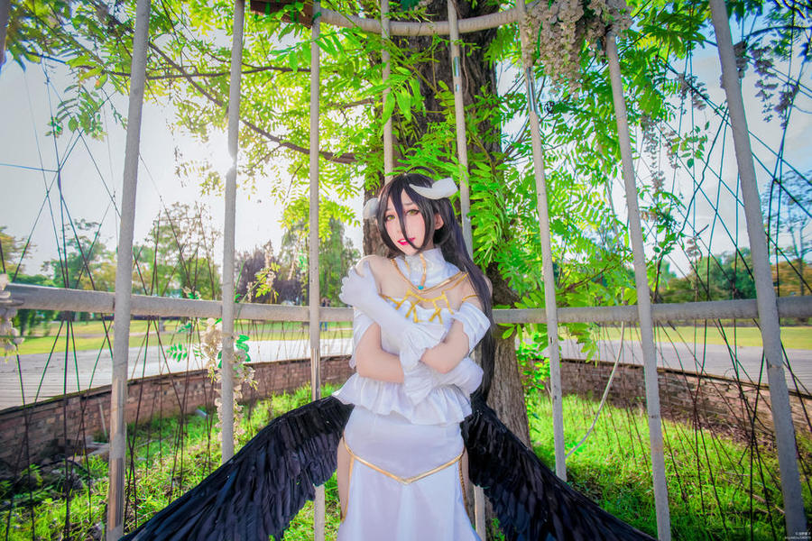 浅野菌子 No.010-Overlord 雅儿贝德1 [15P]-道友图库