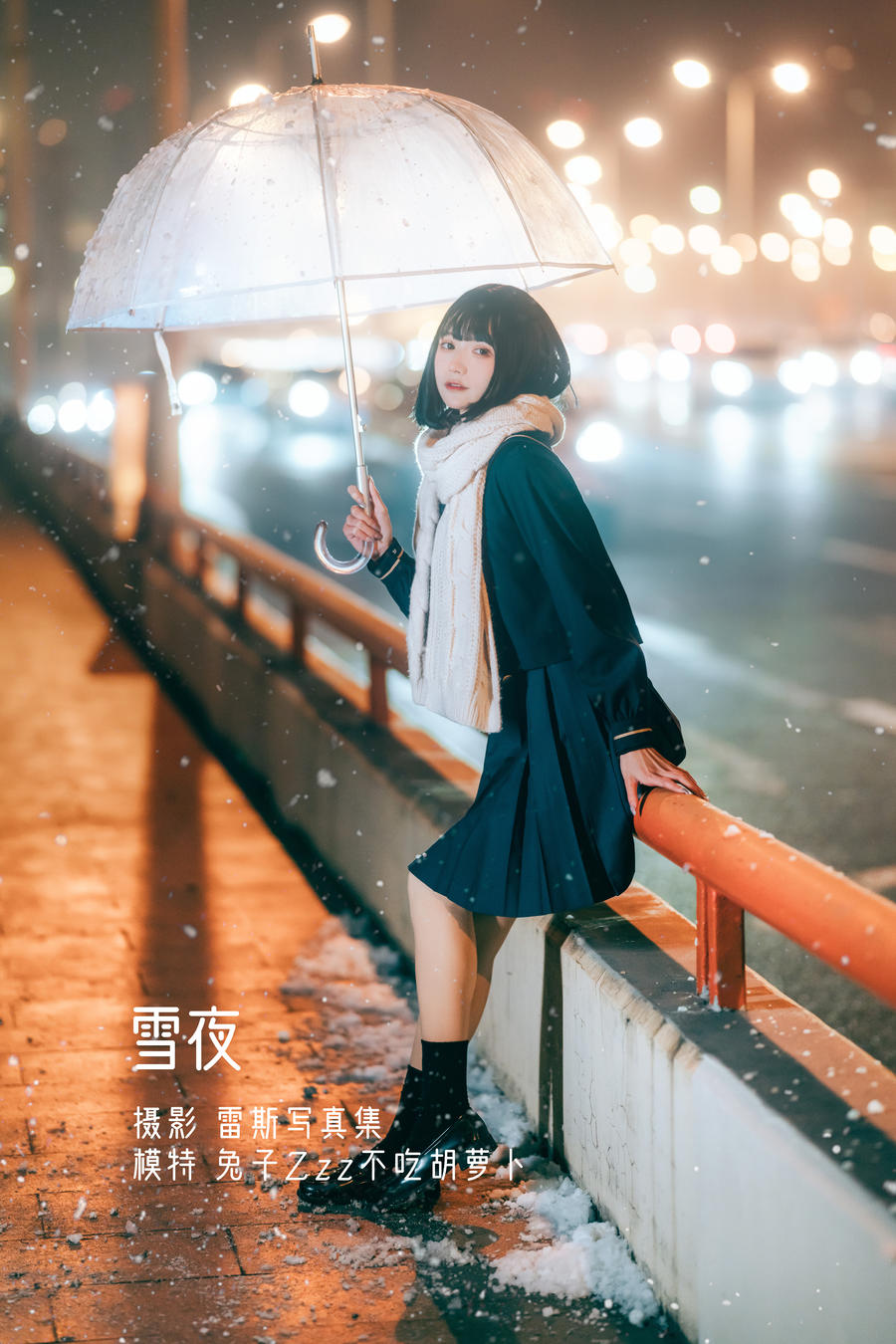 兔子Zzz不吃胡萝卜 No.036-雪夜 [22P]-道友图库